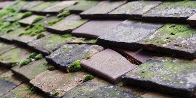Henfynyw roof repair costs